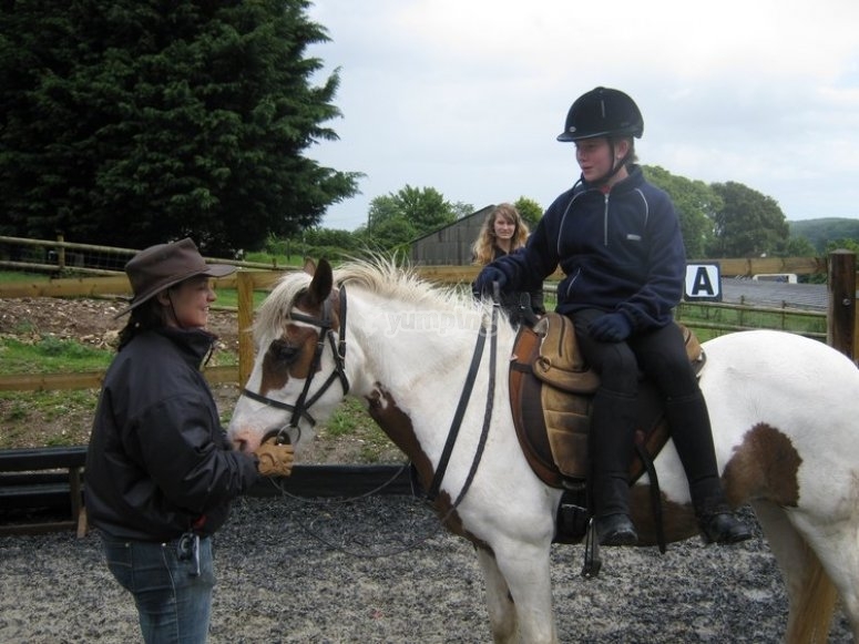 Faunbank Stables, prices and bookings 2024